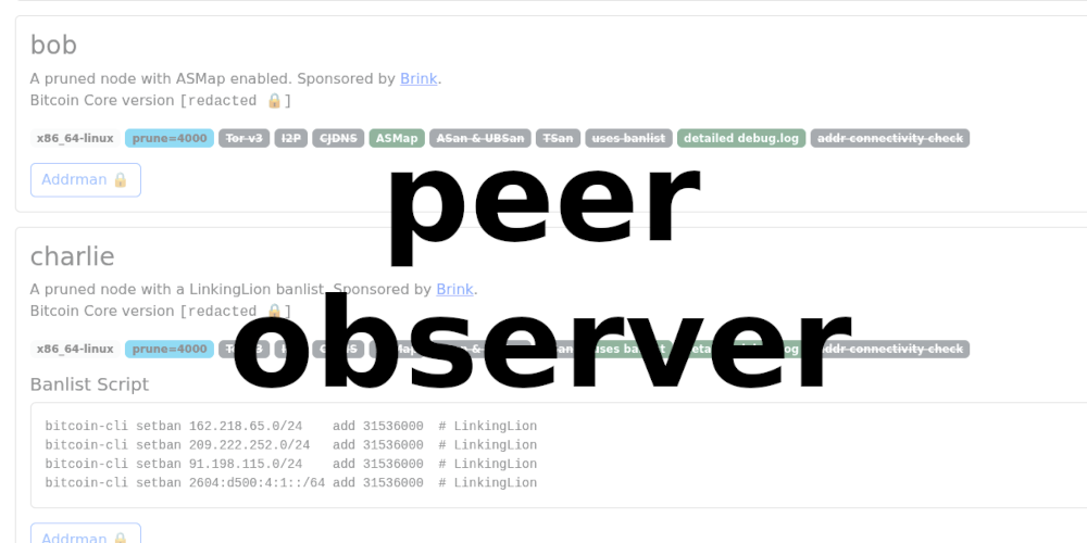 Image for peer-observer: A tool and infrastructure for monitoring the Bitcoin P2P network for attacks and anomalies
